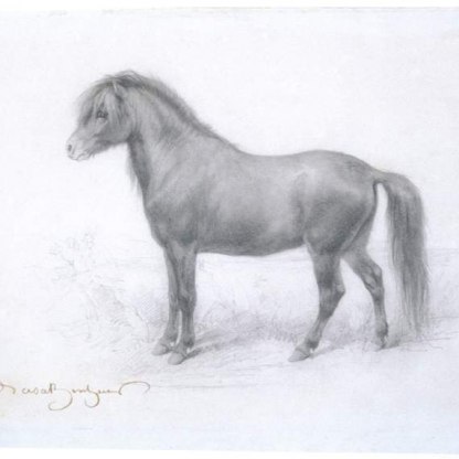 A pony, in a landscape in profile left drawn in chalks on paper